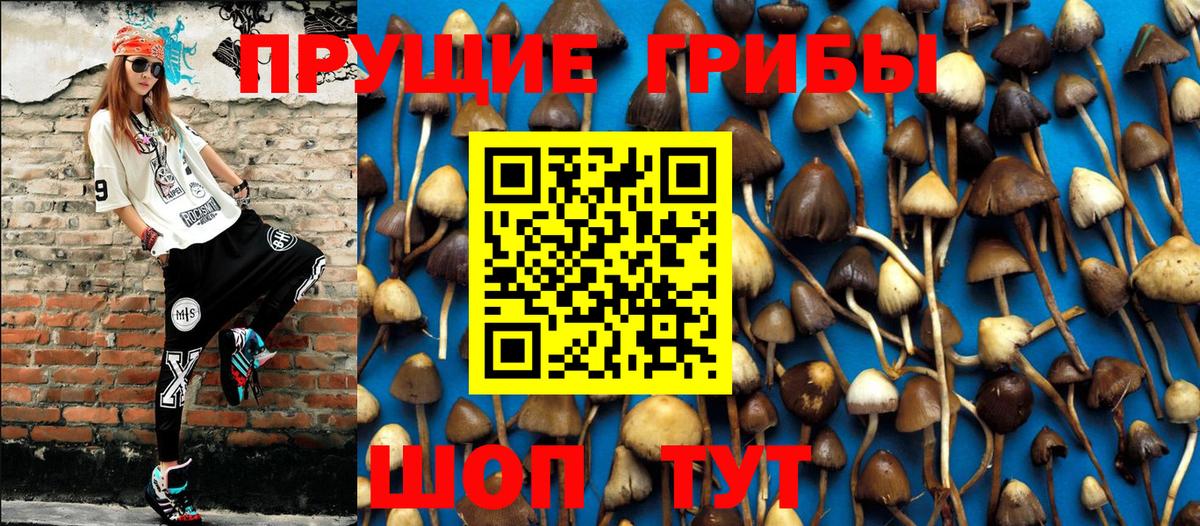 Псилоцибиновые грибы прущие грибы  Галлюциногенные грибы Magic Shrooms  Вход с VPN  Усть-Илимск 